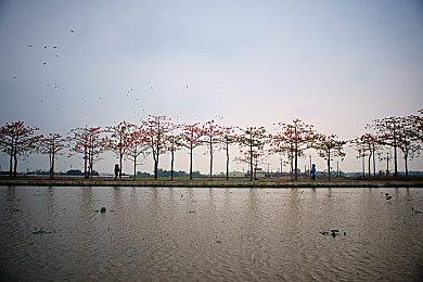 Fami通一周销量榜：火纹打败宝可梦9周销量纪录